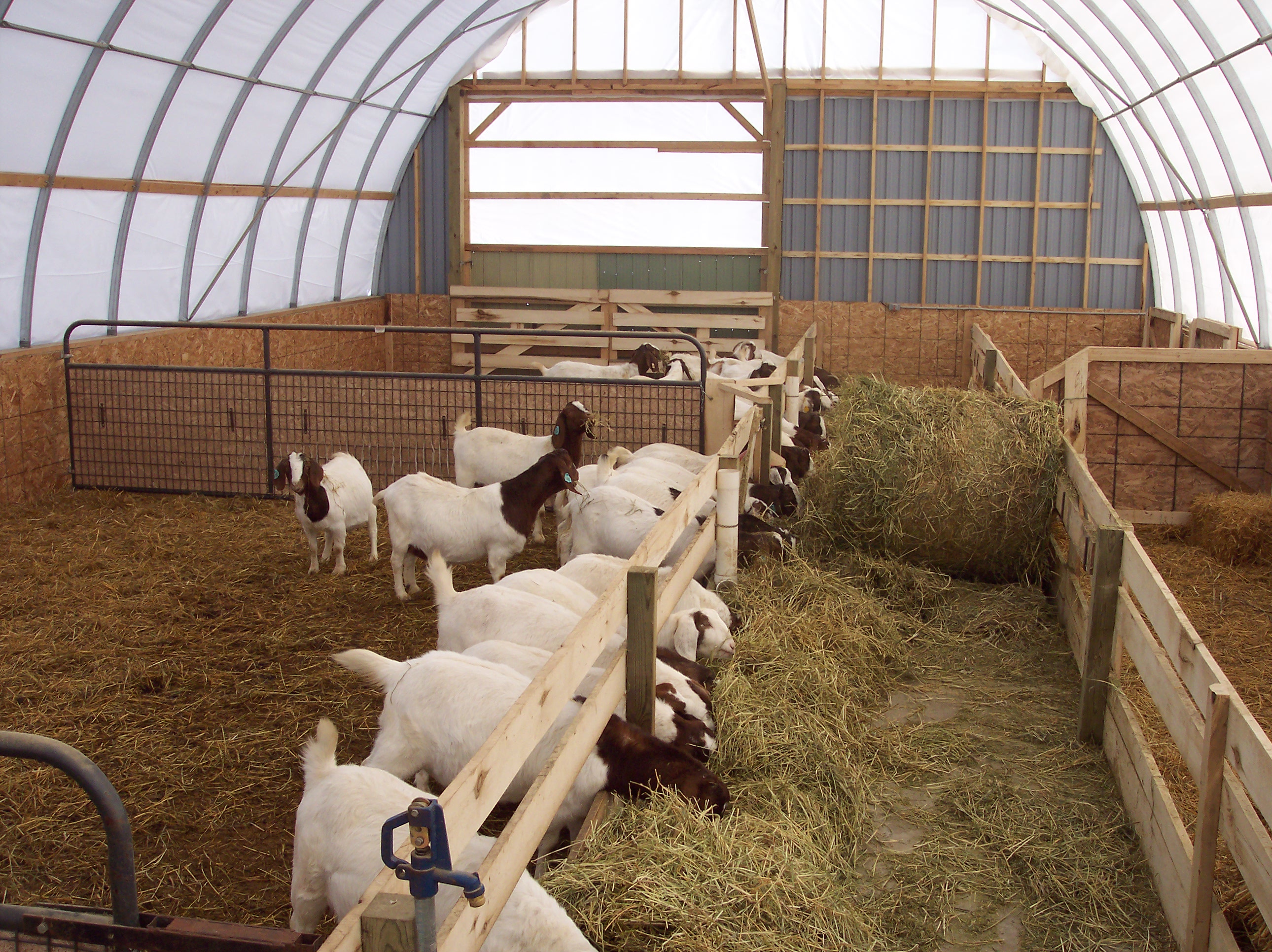 Livestock Shelters | Multi Shelter Solutions